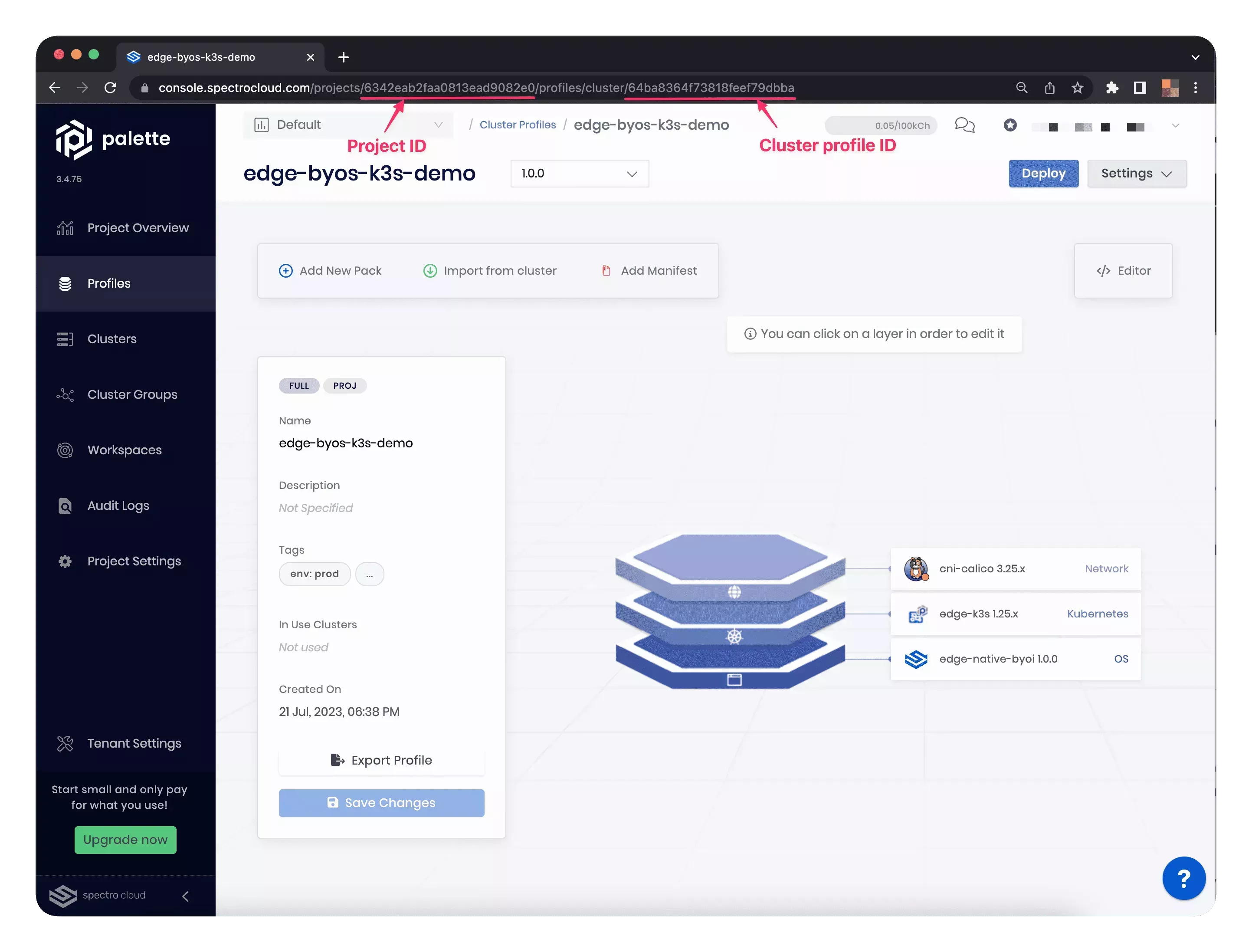 A screenshot highlighting the cluster profile ID and project ID in the URL of the cluster details page.